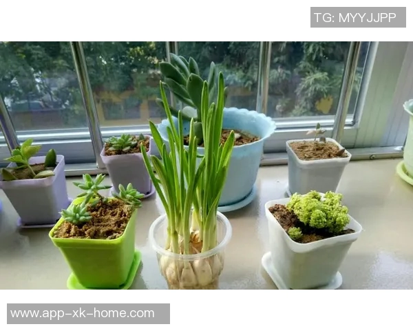 年轻球员激情四溢文班遭双人犯规卡斯尔与米奇争执双双被罚 年轻球员激情四溢文班遭双人犯规卡斯尔与米奇争执双双被罚